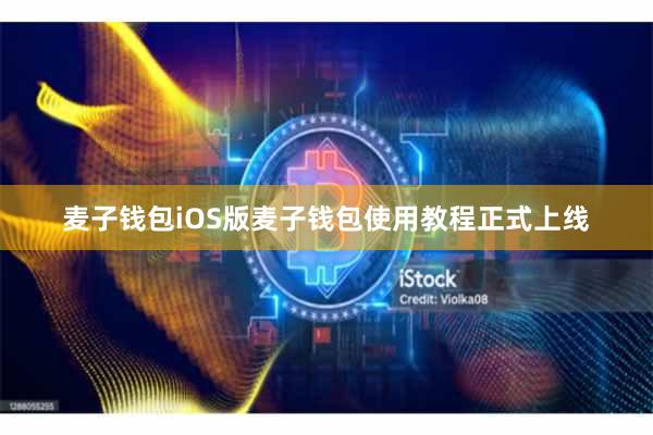麦子钱包iOS版麦子钱包使用教程正式上线