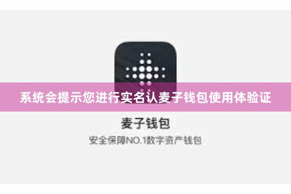 系统会提示您进行实名认麦子钱包使用体验证