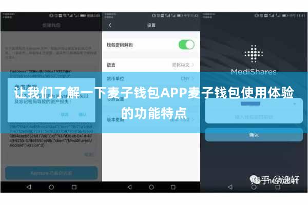 让我们了解一下麦子钱包APP麦子钱包使用体验的功能特点