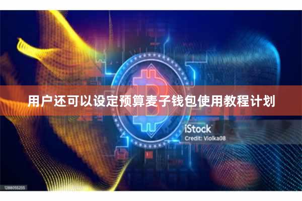 用户还可以设定预算麦子钱包使用教程计划