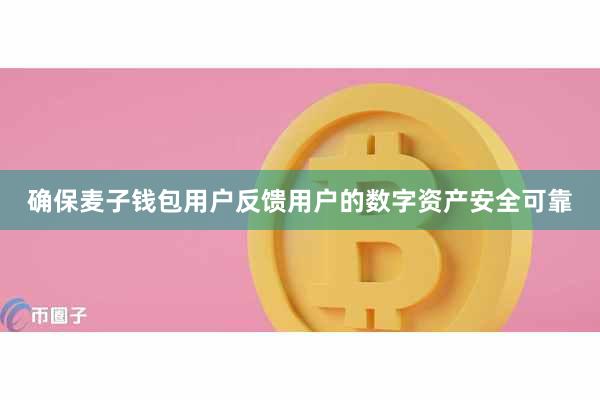 确保麦子钱包用户反馈用户的数字资产安全可靠