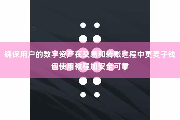 确保用户的数字资产在交易和转账过程中更麦子钱包使用教程加安全可靠