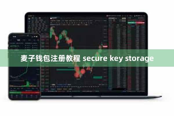 麦子钱包注册教程 secure key storage