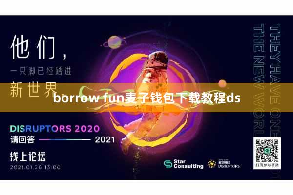 borrow fun麦子钱包下载教程ds