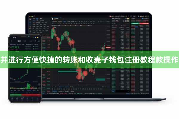 并进行方便快捷的转账和收麦子钱包注册教程款操作
