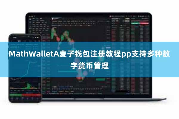 MathWalletA麦子钱包注册教程pp支持多种数字货币管理
