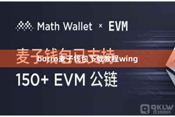 borro麦子钱包下载教程wing