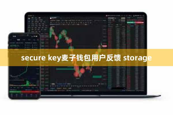 secure key麦子钱包用户反馈 storage