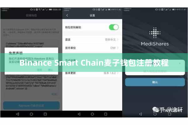Binance Smart Chain麦子钱包注册教程