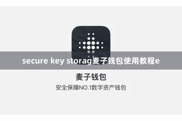 secure key storag麦子钱包使用教程e