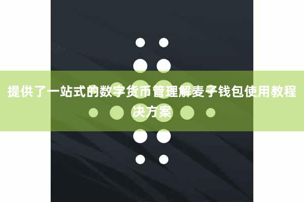 提供了一站式的数字货币管理解麦子钱包使用教程决方案