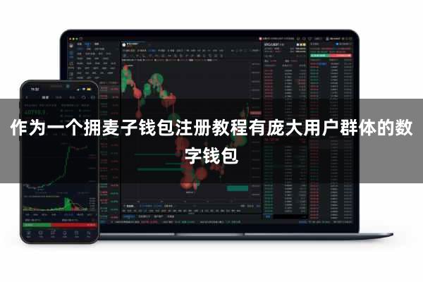 作为一个拥麦子钱包注册教程有庞大用户群体的数字钱包
