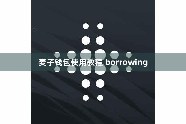 麦子钱包使用教程 borrowing