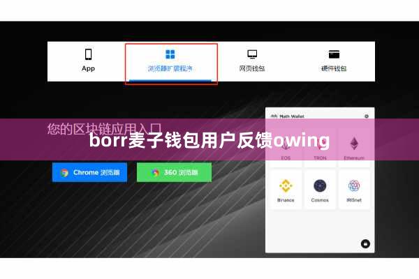 borr麦子钱包用户反馈owing