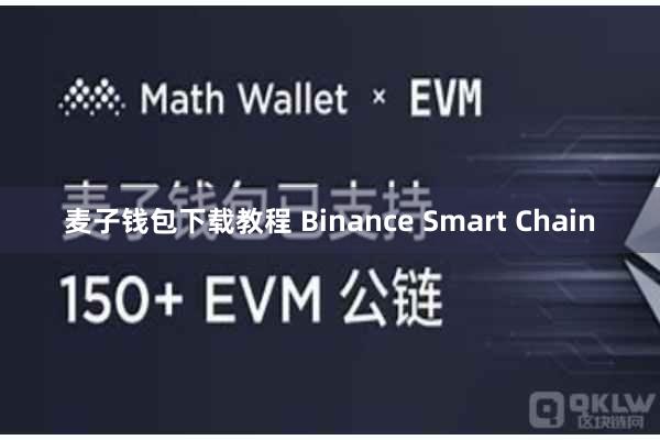 麦子钱包下载教程 Binance Smart Chain