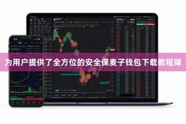 为用户提供了全方位的安全保麦子钱包下载教程障