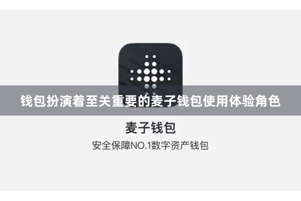 钱包扮演着至关重要的麦子钱包使用体验角色