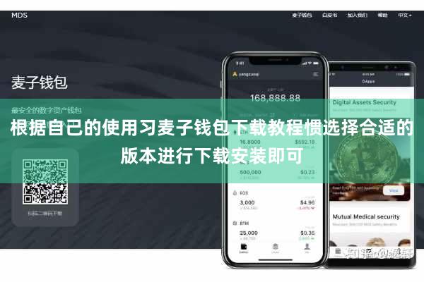 根据自己的使用习麦子钱包下载教程惯选择合适的版本进行下载安装即可