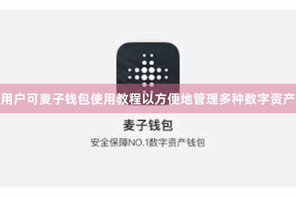 用户可麦子钱包使用教程以方便地管理多种数字资产