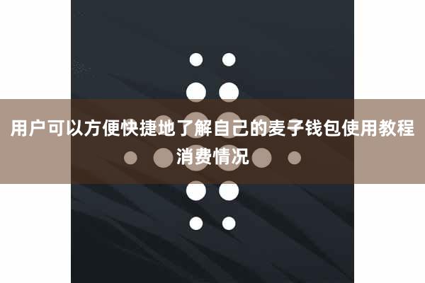 用户可以方便快捷地了解自己的麦子钱包使用教程消费情况