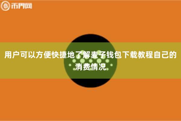 用户可以方便快捷地了解麦子钱包下载教程自己的消费情况