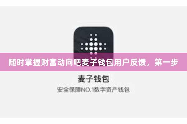 随时掌握财富动向吧麦子钱包用户反馈，第一步