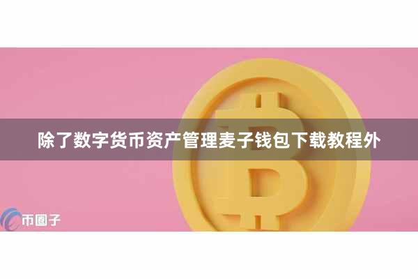 除了数字货币资产管理麦子钱包下载教程外