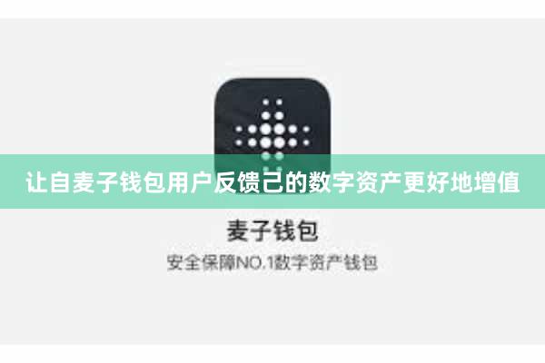 让自麦子钱包用户反馈己的数字资产更好地增值
