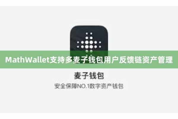 MathWallet支持多麦子钱包用户反馈链资产管理