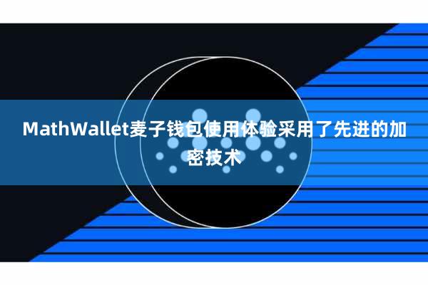 MathWallet麦子钱包使用体验采用了先进的加密技术
