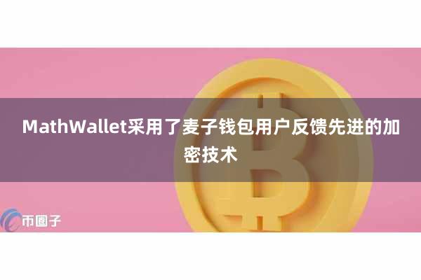 MathWallet采用了麦子钱包用户反馈先进的加密技术